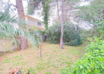 Giardino - Villa Via De Pretis, Mascalucia - foto 42