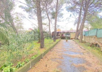 Giardino - Villa Via De Pretis, Mascalucia - foto 43