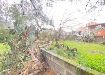 Giardino - Villa Via De Pretis, Mascalucia - foto 59