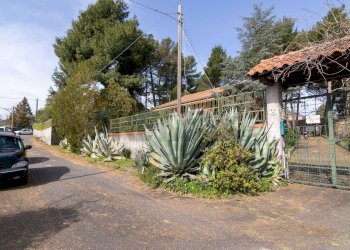 Giardino - Villa Via De Pretis, Mascalucia - foto 61