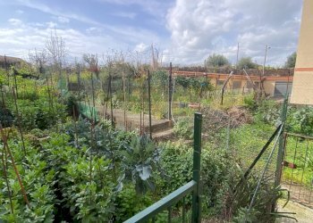 Balcone - Appartamento Via Catusi
 
31, Acireale - foto 9