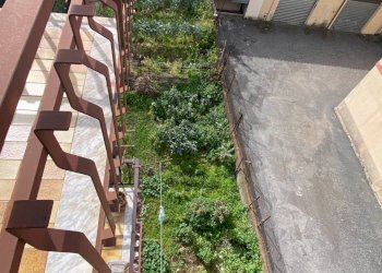 Giardino - Appartamento Via Catusi
 
31, Acireale - foto 13