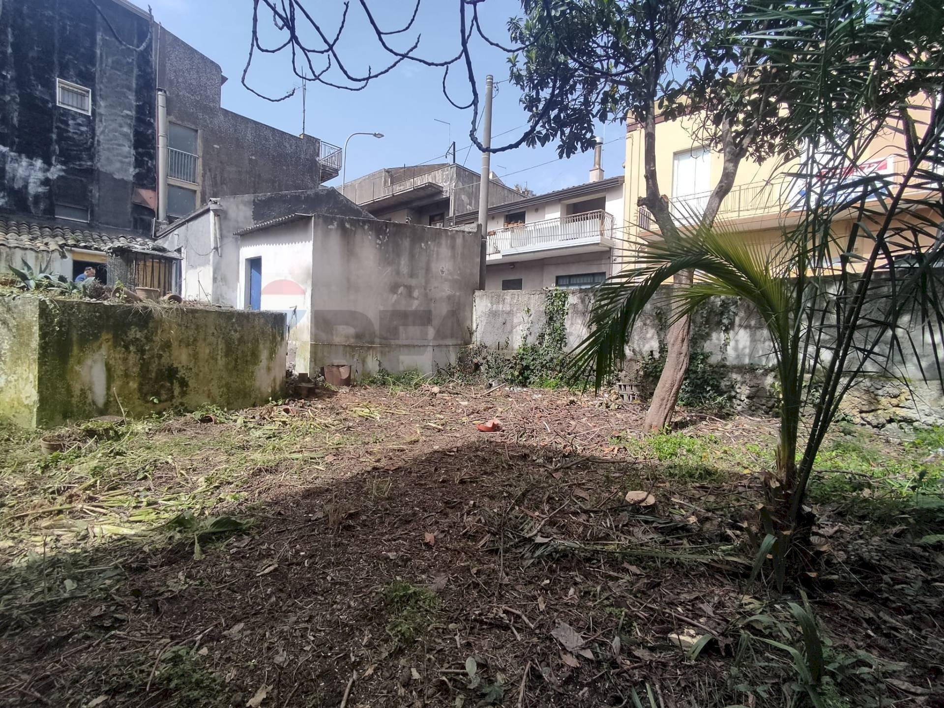 Giardino - Casa indipendente Via V Traversa
 
3-5, Belpasso - foto 3