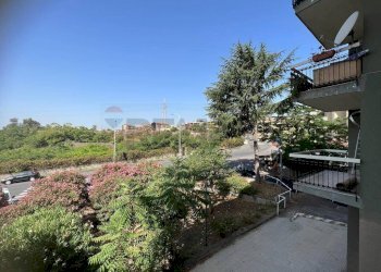 Giardino - Appartamento Viale Della Costituzione (ex Via del Canalicchio)
 
19, Catania - foto 30