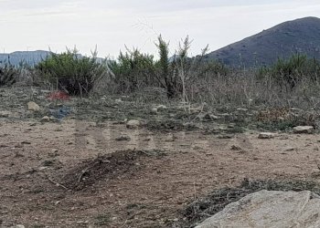 Vista delle montagne - Terreno agricolo Contrada Pergola
snc, Caccamo - foto 6