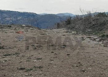 Vista delle montagne - Terreno agricolo Contrada Pergola
snc, Caccamo - foto 7