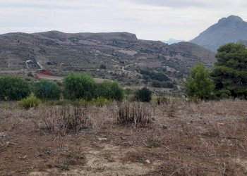 Vista delle montagne - Terreno agricolo Contrada Pergola
snc, Caccamo - foto 14