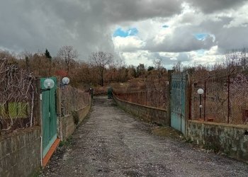 Giardino - Villa Via Montarello
 
20, Pedara - foto 26