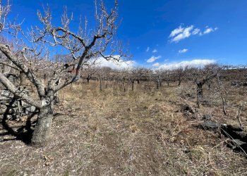 Vista delle montagne - Agricultural land C/da Piano Mirio (Strada comunale-Ex Provinciale Nicolosi-Maletto)
 
snc, Biancavilla - photo 2