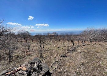 Vista delle montagne - Agricultural land C/da Piano Mirio (Strada comunale-Ex Provinciale Nicolosi-Maletto)
 
snc, Biancavilla - photo 3