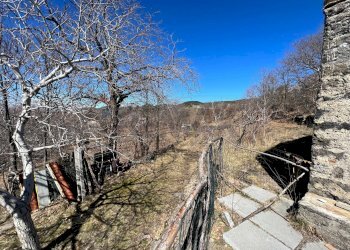 Vista delle montagne - Agricultural land C/da Piano Mirio (Strada comunale-Ex Provinciale Nicolosi-Maletto)
 
snc, Biancavilla - photo 6
