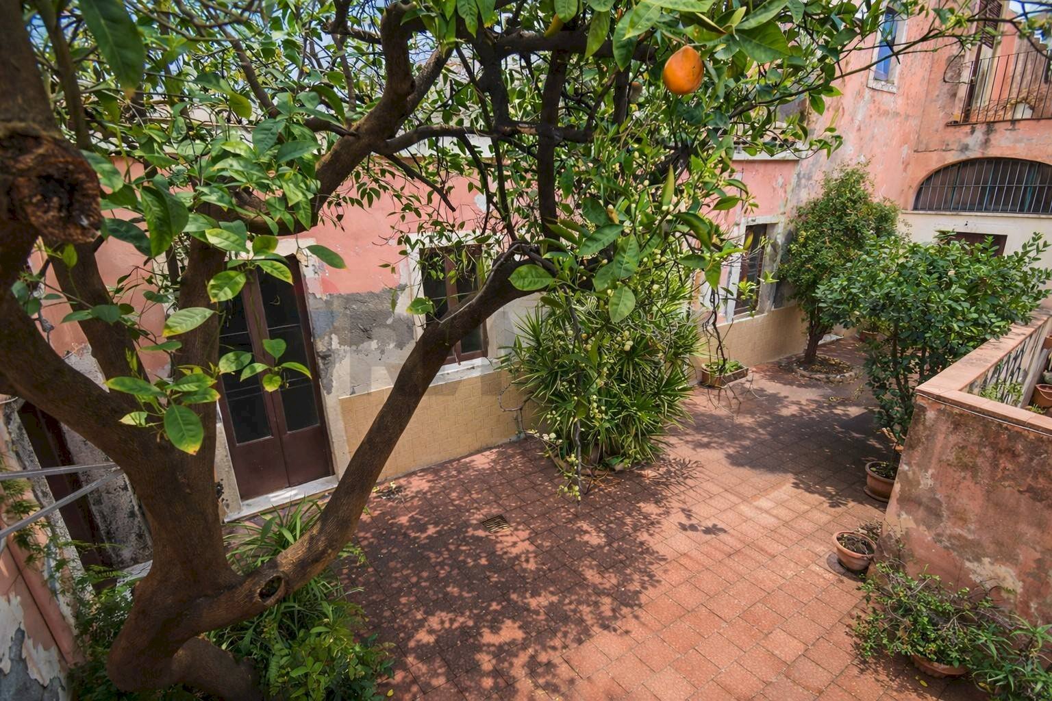 Giardino - Independent house Via Scinà
 
7, Acireale - photo 3