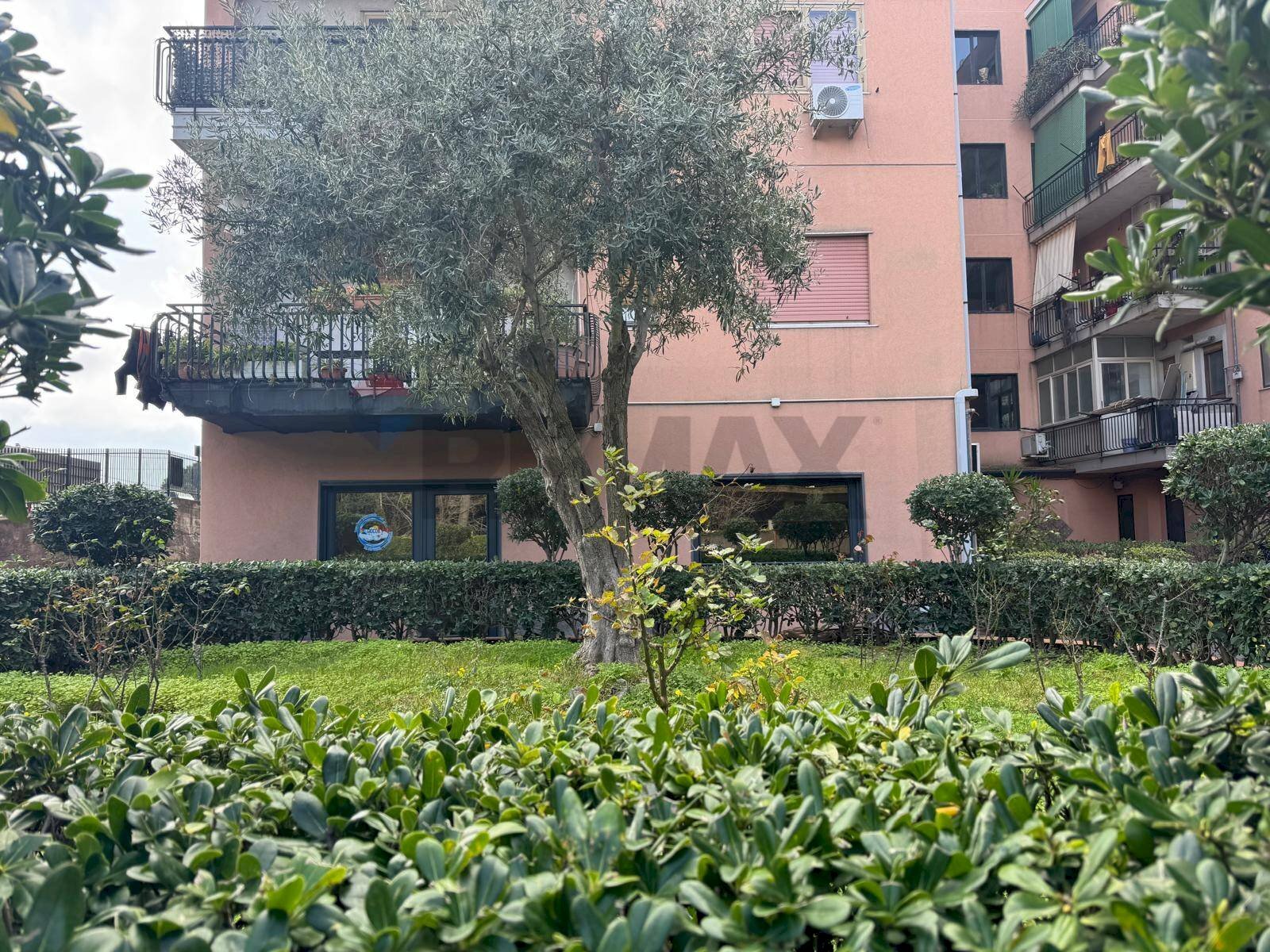 Edificio all\'aperto - Appartamento Via Balatelle
 
18/A, San Giovanni la Punta - foto 2