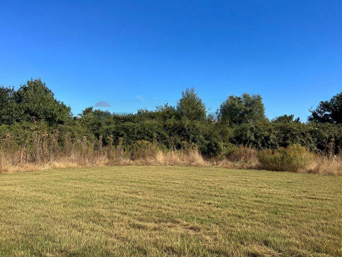 Giardino - Agricultural land Contrada Ferrara
snc, Castiglione di Sicilia - photo 2