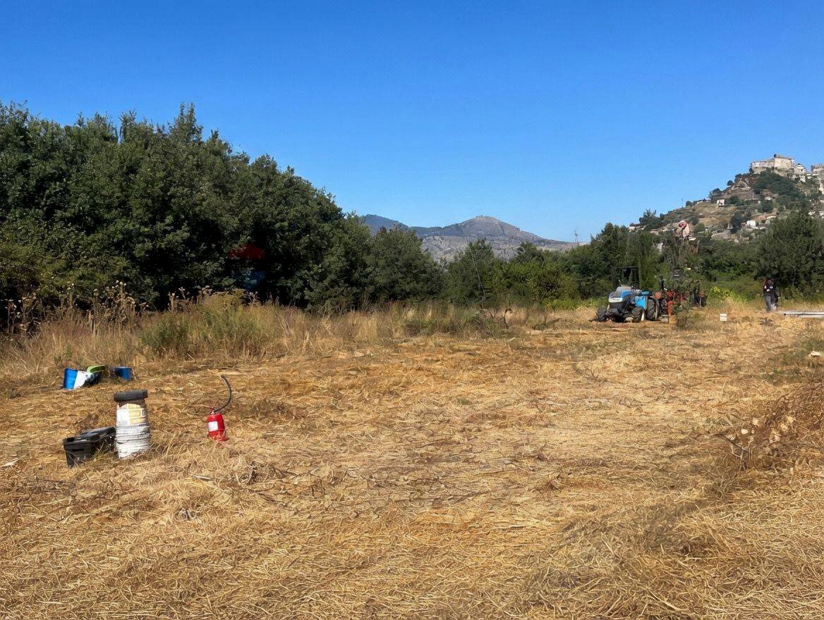 Vista delle montagne - Agricultural land Contrada Ferrara
snc, Castiglione di Sicilia - photo 3