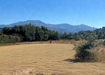 Vista delle montagne - Terreno agricolo Contrada Ferrara
 
snc, Castiglione di Sicilia - foto 1