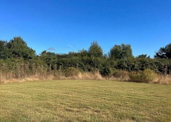 Giardino - Terreno agricolo Contrada Ferrara
 
snc, Castiglione di Sicilia - foto 2