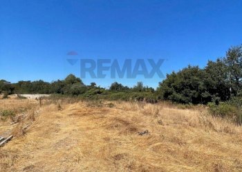Vista delle montagne - Terreno agricolo Contrada Ferrara
 
snc, Castiglione di Sicilia - foto 4