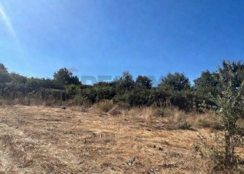 Vista delle montagne - Terreno agricolo Contrada Ferrara
 
snc, Castiglione di Sicilia - foto 5