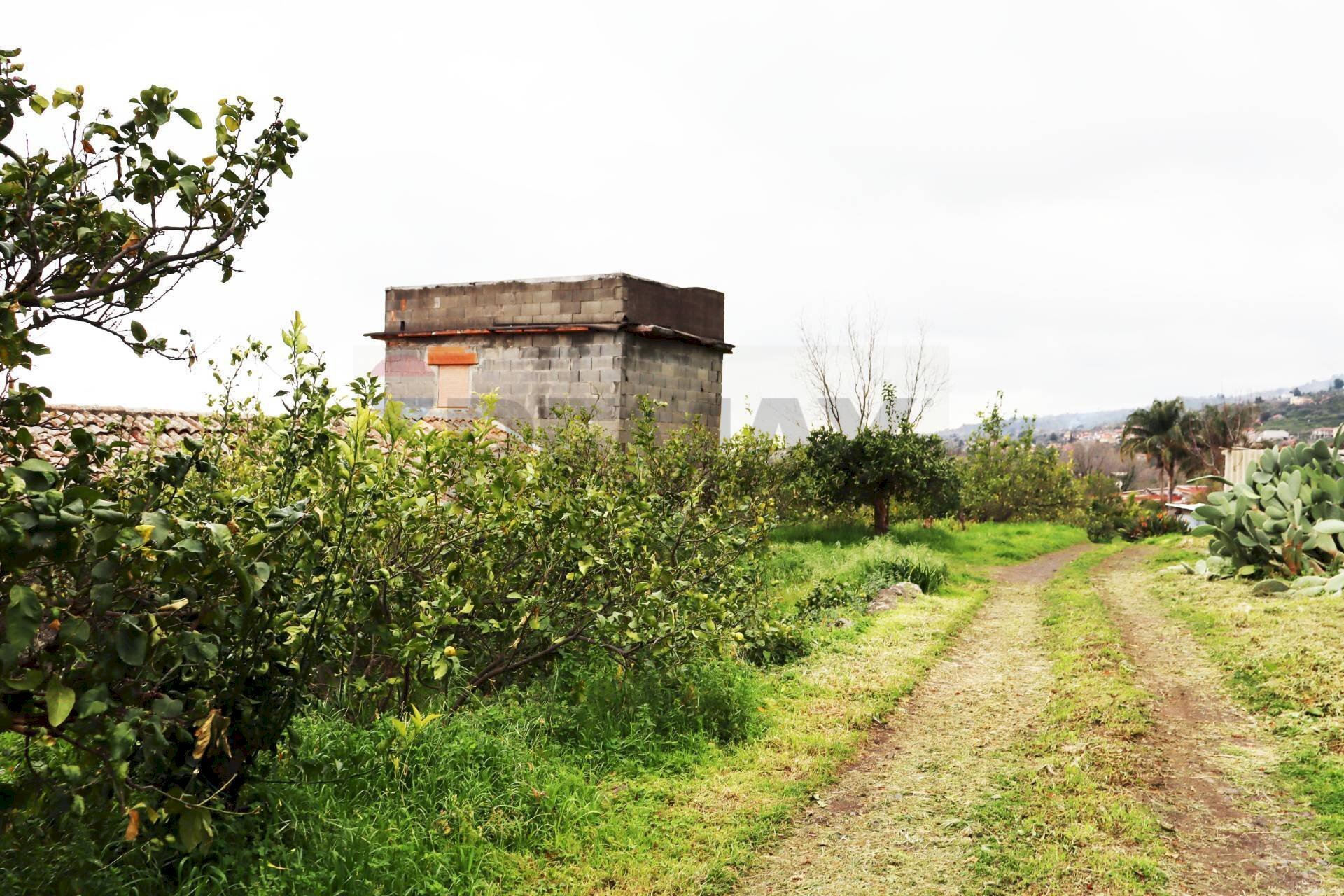 Giardino - Terreno agricolo via Civi'
 
29, Fiumefreddo di Sicilia - foto 1