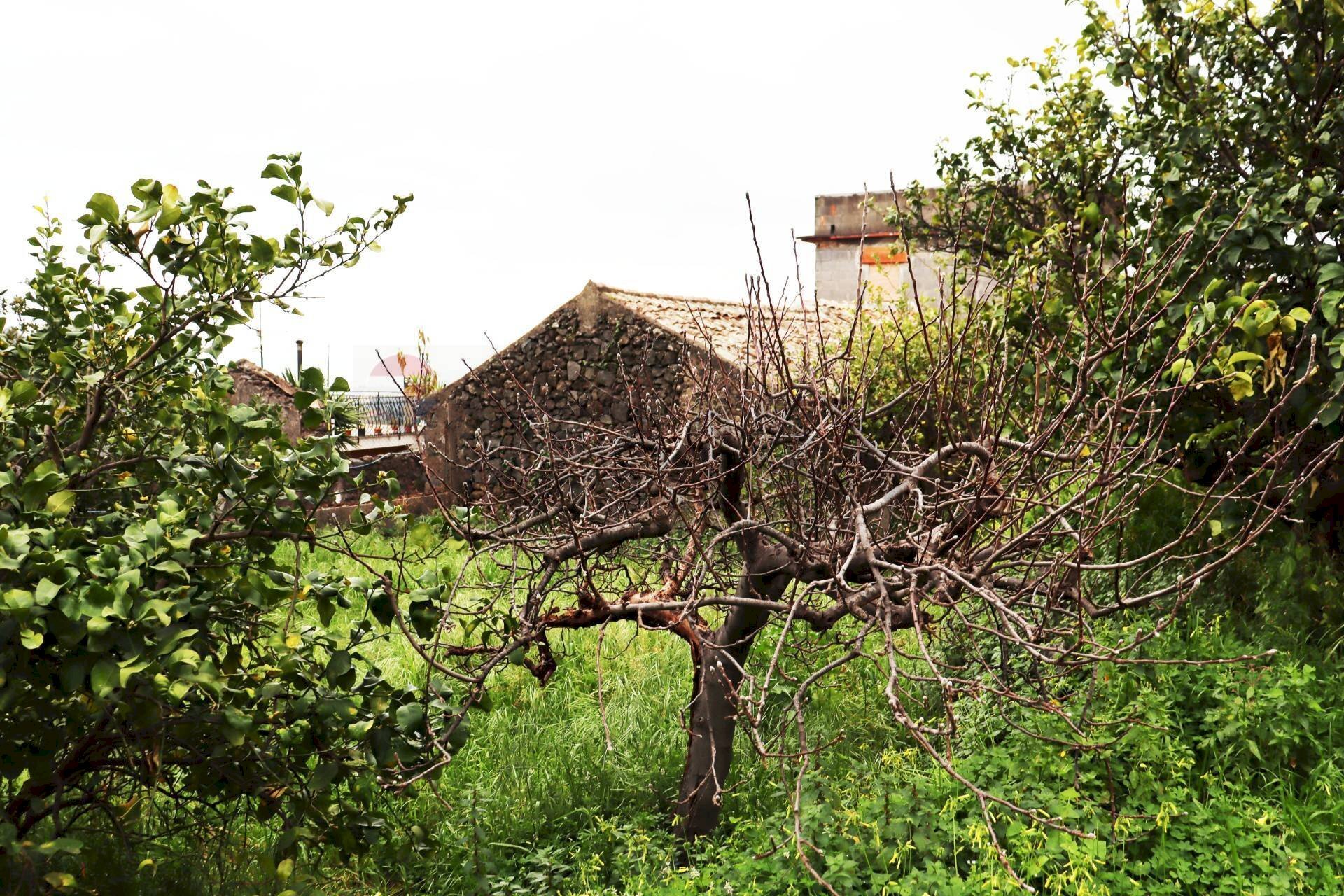 Giardino - Terreno agricolo via Civi'
 
29, Fiumefreddo di Sicilia - foto 3