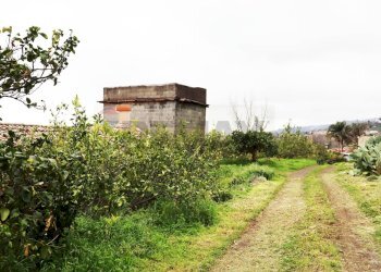 Giardino - Terreno agricolo via Civi'
 
29, Fiumefreddo di Sicilia - foto 1