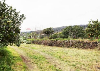 Giardino - Terreno agricolo via Civi'
 
29, Fiumefreddo di Sicilia - foto 4