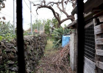 Giardino - Terreno agricolo via Civi'
 
29, Fiumefreddo di Sicilia - foto 10