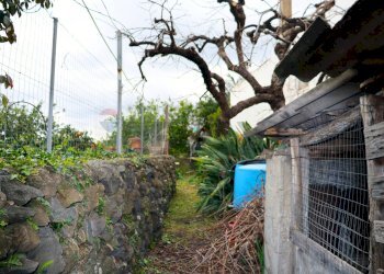 Giardino - Terreno agricolo via Civi'
 
29, Fiumefreddo di Sicilia - foto 11