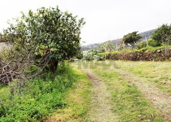 Giardino - Terreno agricolo via Civi'
 
29, Fiumefreddo di Sicilia - foto 18
