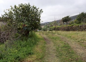 Giardino - Terreno agricolo via Civi'
 
29, Fiumefreddo di Sicilia - foto 19