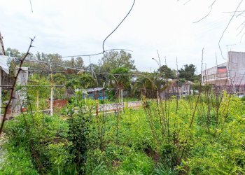 Giardino - Villa Via Dorata
 
snc, Catania - foto 25