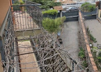 Balcone - Casa semi indipendente Via Federico De Roberto
 
1/B, San Gregorio di Catania - foto 56