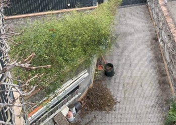 Giardino - Casa semi indipendente Via Federico De Roberto
 
1/B, San Gregorio di Catania - foto 59