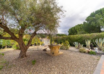 Giardino - Villa via vittorio alfieri, Nicolosi - foto 7