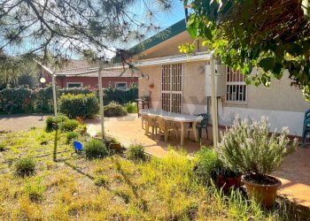 Giardino - Villa Via Rosario Livatino
 
38, Pedara - foto 21