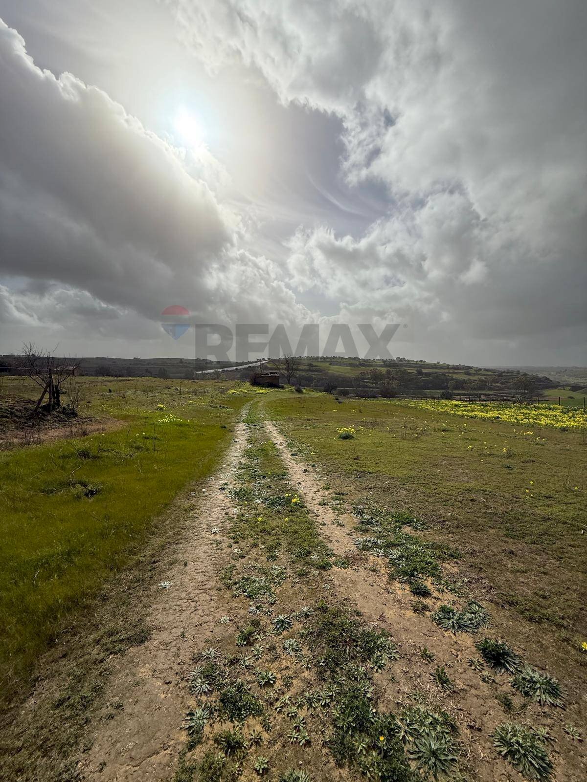 Giardino - Agricultural land via luigi einaudi, Grammichele - photo 1
