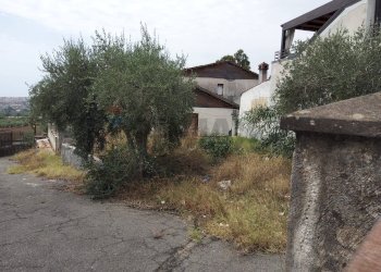 Giardino - Villa Via Carlino
 
91, Mascali - photo 12