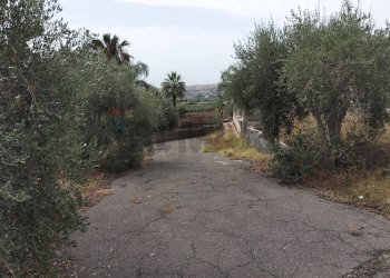 Giardino - Villa Via Carlino
 
91, Mascali - photo 13