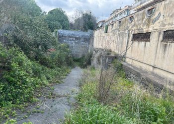 Giardino - Magazzino Via Don Bosco
 
54, Gravina di Catania - foto 5