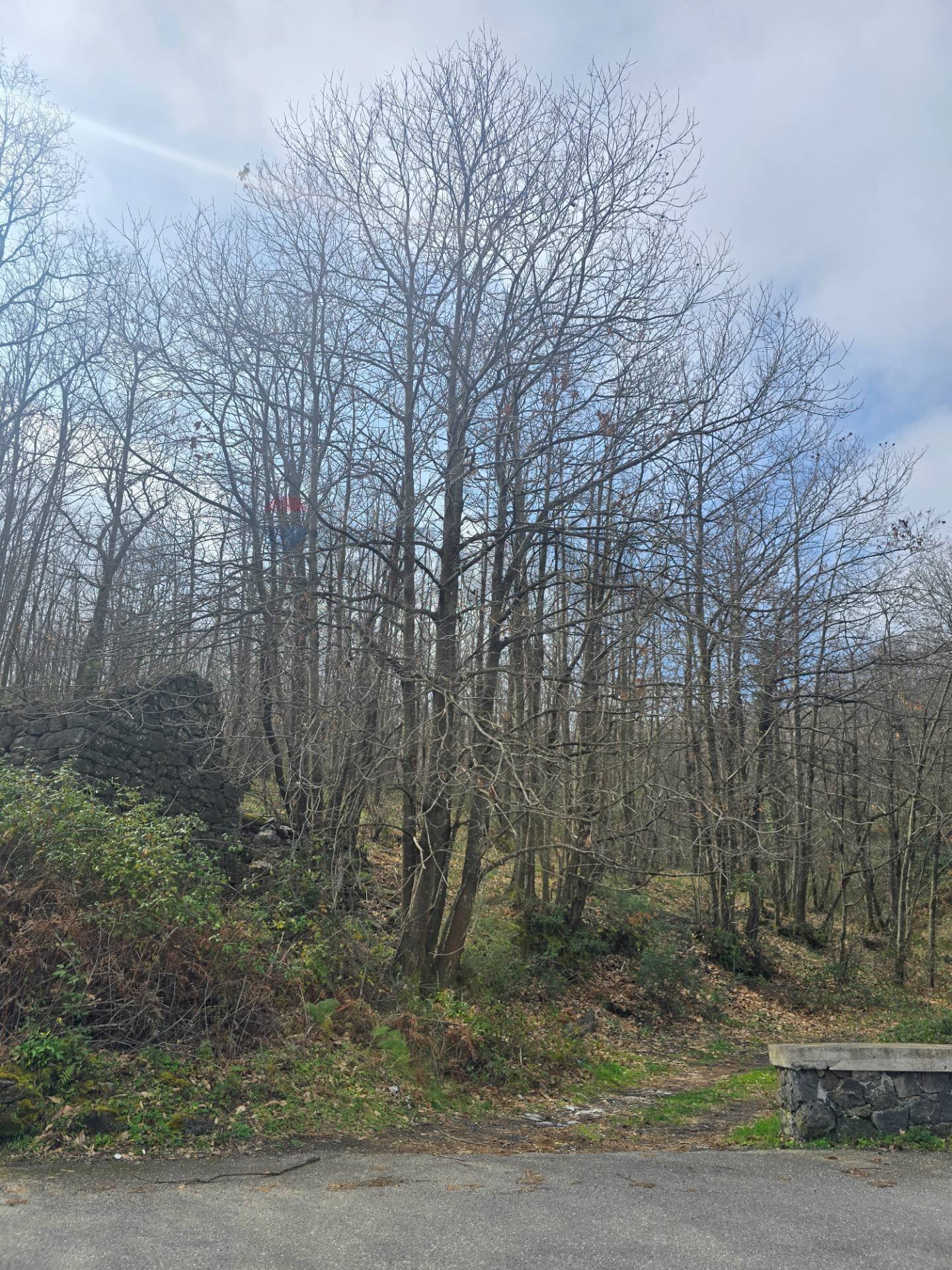 Non correlato - Agricultural land R44J+38V
 
snc, Linguaglossa - photo 1