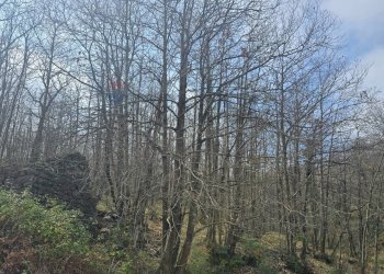 Non correlato - Agricultural land R44J+38V
snc, Linguaglossa - photo 1