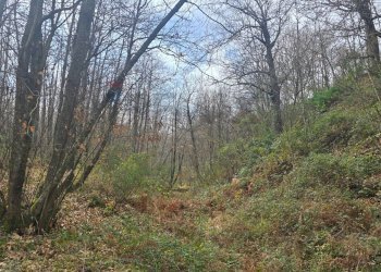 Non correlato - Agricultural land R44J+38V
snc, Linguaglossa - photo 2