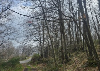 Non correlato - Agricultural land R44J+38V
snc, Linguaglossa - photo 4