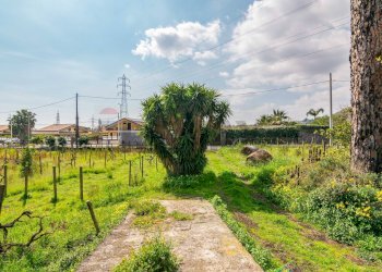 Giardino - Rustico Via Tropea
 
88, Aci Sant'Antonio - foto 16