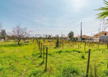 Giardino - Rustico Via Tropea
 
88, Aci Sant'Antonio - foto 18