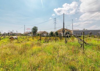Giardino - Rustico Via Tropea
 
88, Aci Sant'Antonio - foto 20