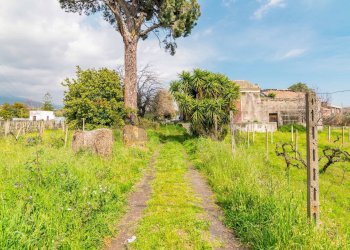 Giardino - Rustico Via Tropea
 
88, Aci Sant'Antonio - foto 21