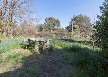 Giardino - Villa Via Tarderia
 
150, Pedara - foto 38