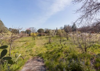 Giardino - Villa Via Tarderia
 
150, Pedara - foto 40